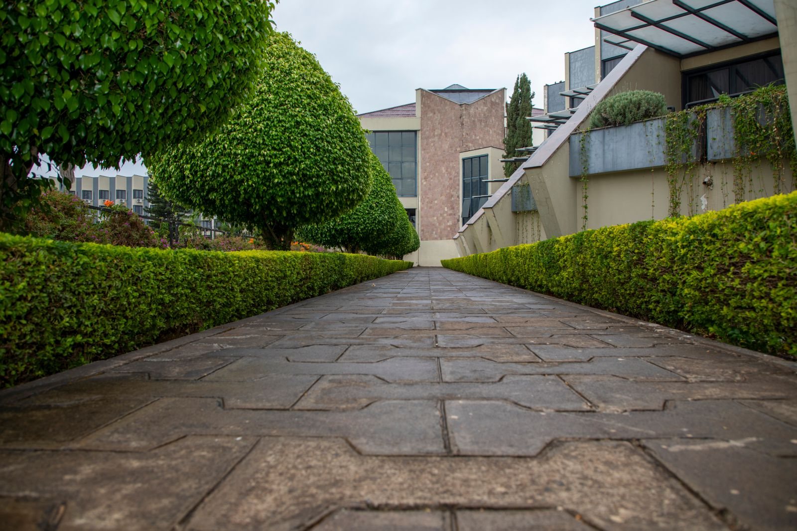 Stamped Concrete